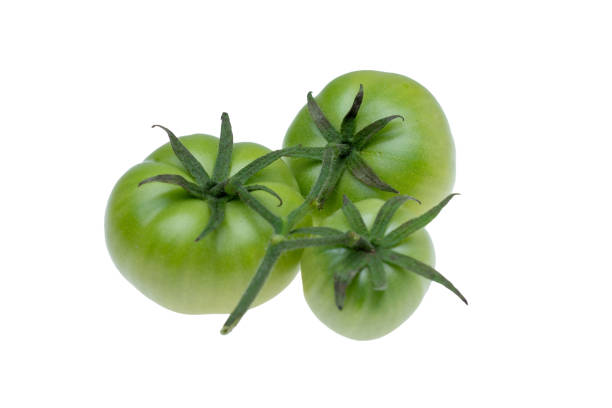 istock Green tomatoes on a white background 1749684458