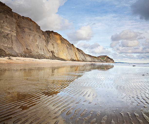 felsen und wolken sich in nassen sand in dorset beach - golden cap stock-fotos und bilder