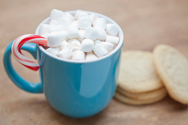 Homemade Hot Chocolate Served With Marshmallows on Winter Background
