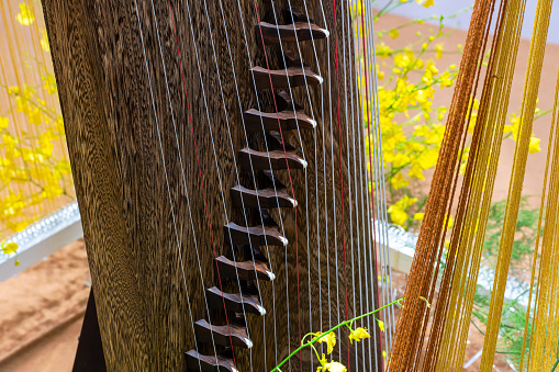 Chinese musical instrument-Guzheng