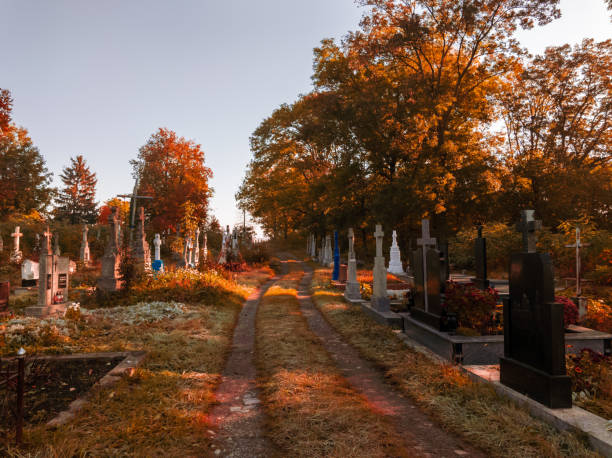 晴れた秋の朝の古い墓地。 - cross autumn sky beauty in nature ストックフォトと画像
