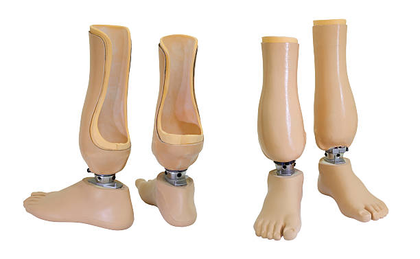 istock Two views of prosthetic legs 174970444