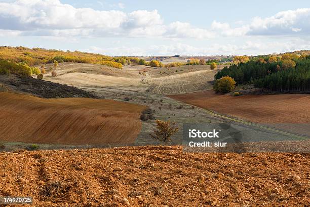 Photo libre de droit de Paisaje De Campo Campagne banque d'images et plus d'images libres de droit de Agriculture - Agriculture, Arbre, Automne