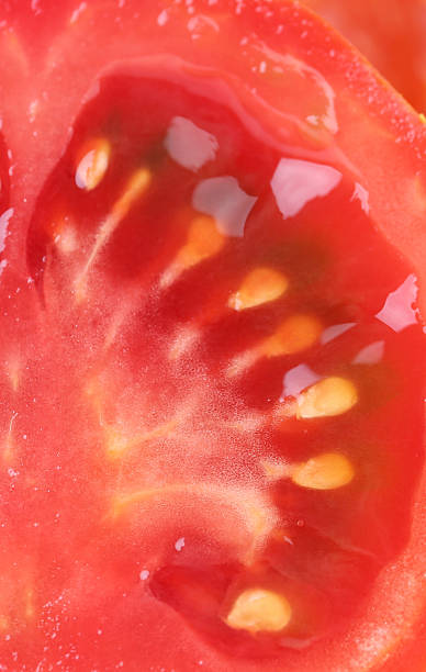 istock half slice of tomato close up 174971242