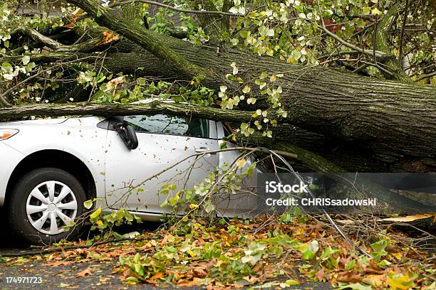 Foto de Carro De Espaço De Árvore e mais fotos de stock de Carro - Carro, Furacão, Quebrado