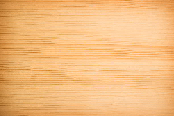 Wood Texture Wood Texture . Veneer European larch. Cloe up.SEE ALSO: larch stock pictures, royalty-free photos & images