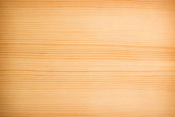 Wood Texture . Veneer European larch. Cloe up.SEE ALSO: