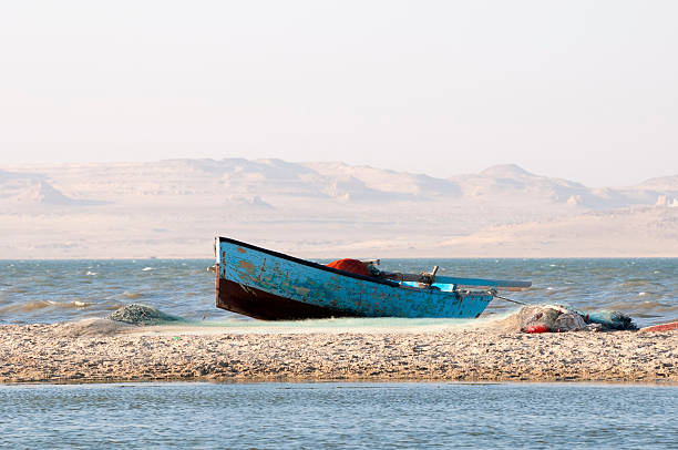 pesca en bote en el lago qarun en fayoum, egipto - fayoum fotografías e imágenes de stock