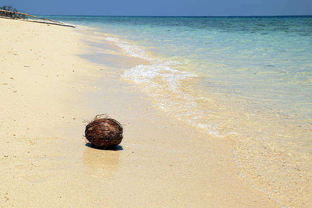 istock Coconut on beautiful Krabi beach 174972212