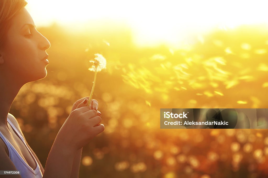 Linda menina sopra dente-de-leão no campo iluminado - Foto de stock de Dente-de-Leão royalty-free