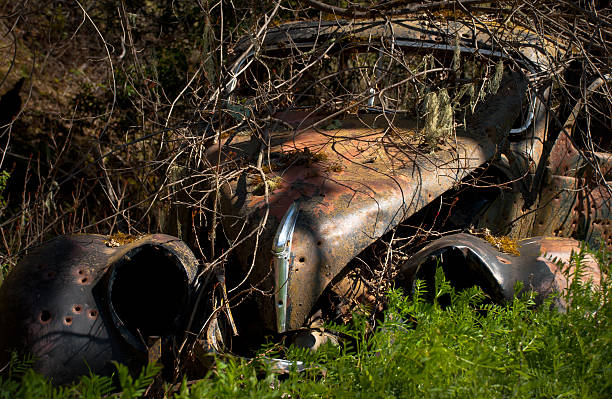 istock Junk Car in the Woods 174972370