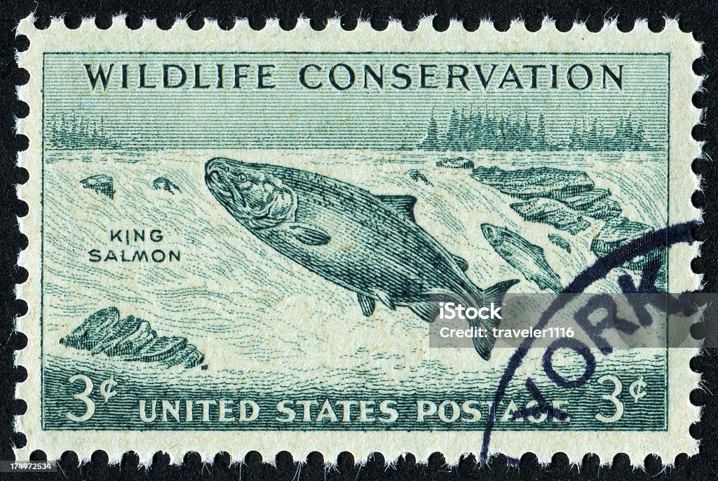 Wildlife Conservation Stamp - Lizenzfrei Alt Stock-Foto