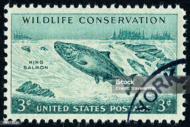 Wildlife Conservation Stamp Stockfoto und mehr Bilder von Alt - Alt, Amerikanische Geldmünze, Artenschutz