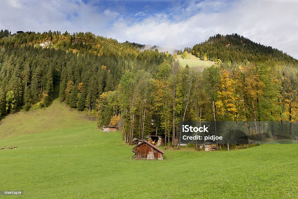 Herbstliche Landschaft mit Berner Alpen der Schweiz - Lizenzfrei Agrarbetrieb Stock-Foto