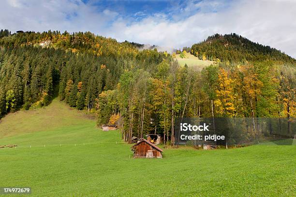 Herbstliche Landschaft Mit Berner Alpen Der Schweiz Stockfoto und mehr Bilder von Agrarbetrieb