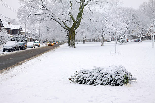 istock Snowplowed Street 174973015