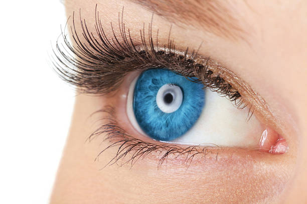 istock Close-up Of Woman's Eye 174973558