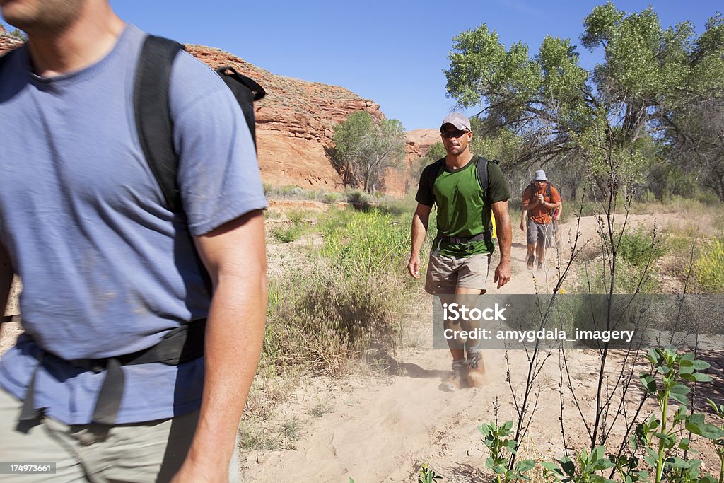 Deserto da hiking - Foto stock royalty-free di Ambientazione esterna