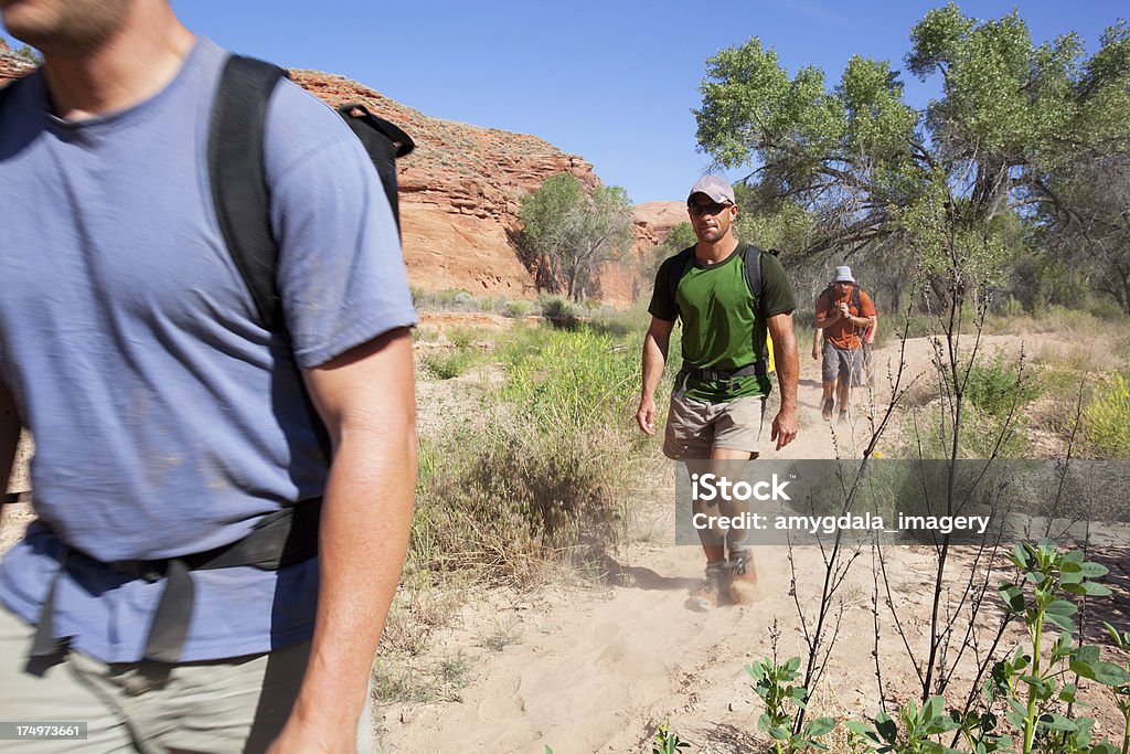 Deserto de caminhada - Royalty-free Ao Ar Livre Foto de stock