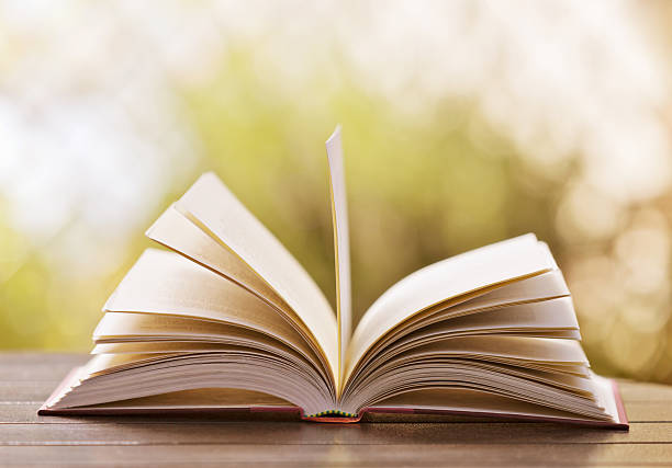 istock Gateway to inspiration, education, and entertainment: an open book 174974128