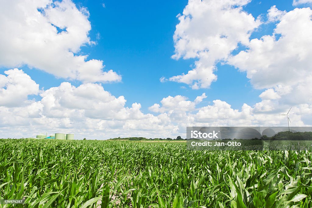 Große corn field mit biogas fahren plant - Lizenzfrei Biogas Stock-Foto