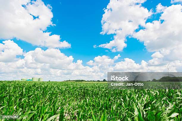 Große Corn Field Mit Biogas Fahren Plant Stockfoto und mehr Bilder von Biogas - Biogas, Anaerob, Architektur