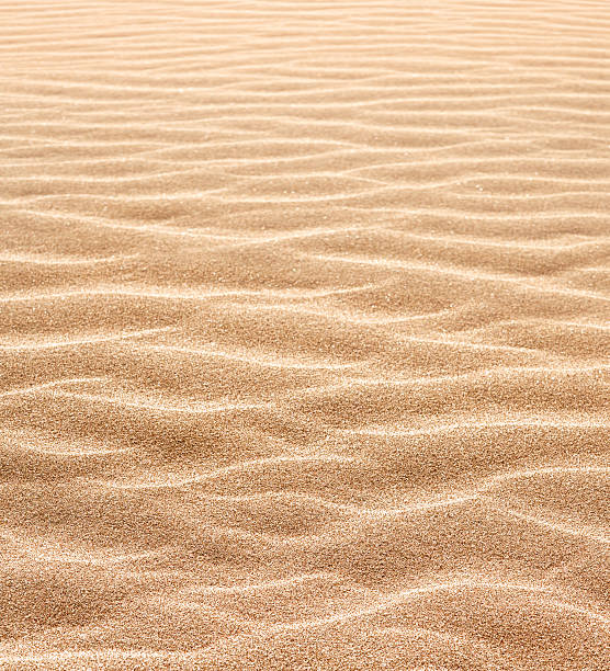 dunes de sable dans le désert - sahara desert coastline wind natural pattern photos et images de collection