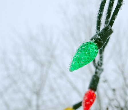 An outdoor green LED Christmas light covered with a light frost. Copy Space  Selective focus on the green bulb.