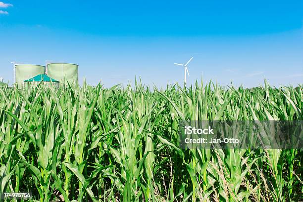 Corn Field Mit Biogas Fahren Plant Stockfoto und mehr Bilder von Anaerob - Anaerob, Architektur, Bauwerk