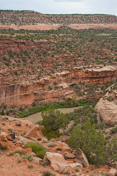 pendere flume su dolores fiume - new mexico landscape arid climate plateau foto e immagini stock