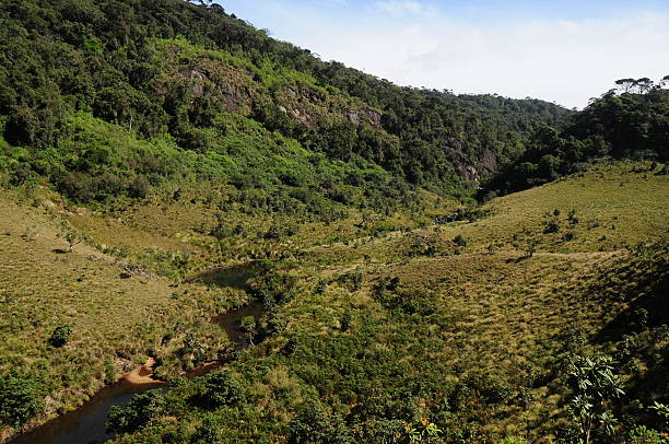 istock Horton plains National Park, Sri Lanka. 174975787