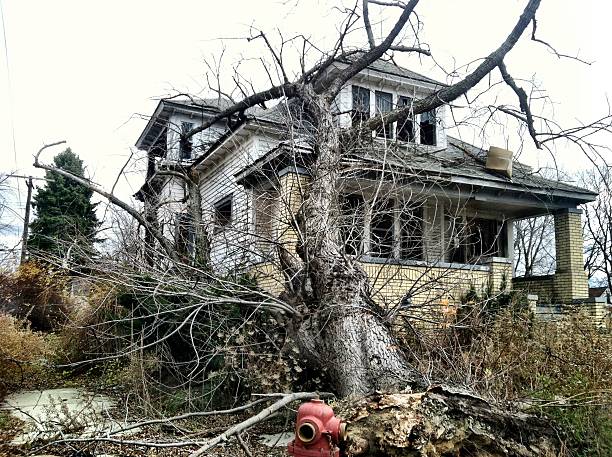Abandoned house in Detroit. Image taken with iPhone 4 and edited with Camera+ application.
