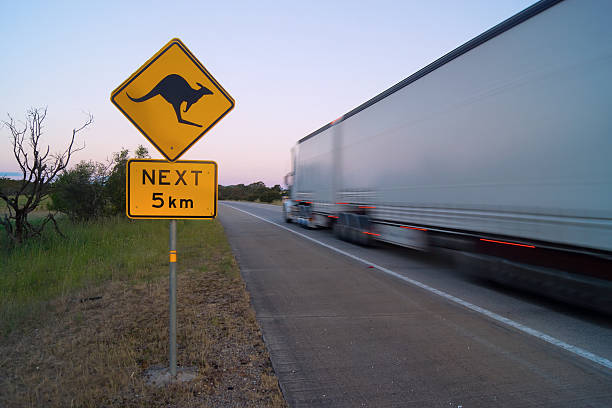 langstrecke - kangaroo outback australia sunset stock-fotos und bilder