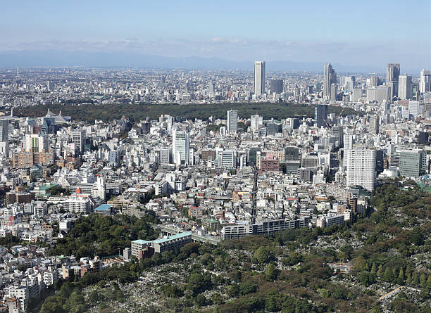 istock Aoyama Cemetery and Tokyo Skyline, Japan 174976046