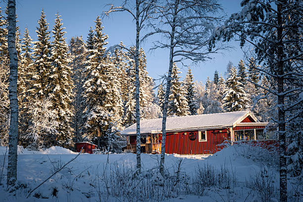 istock Cottage in a  winter forest, Sweden 174976844