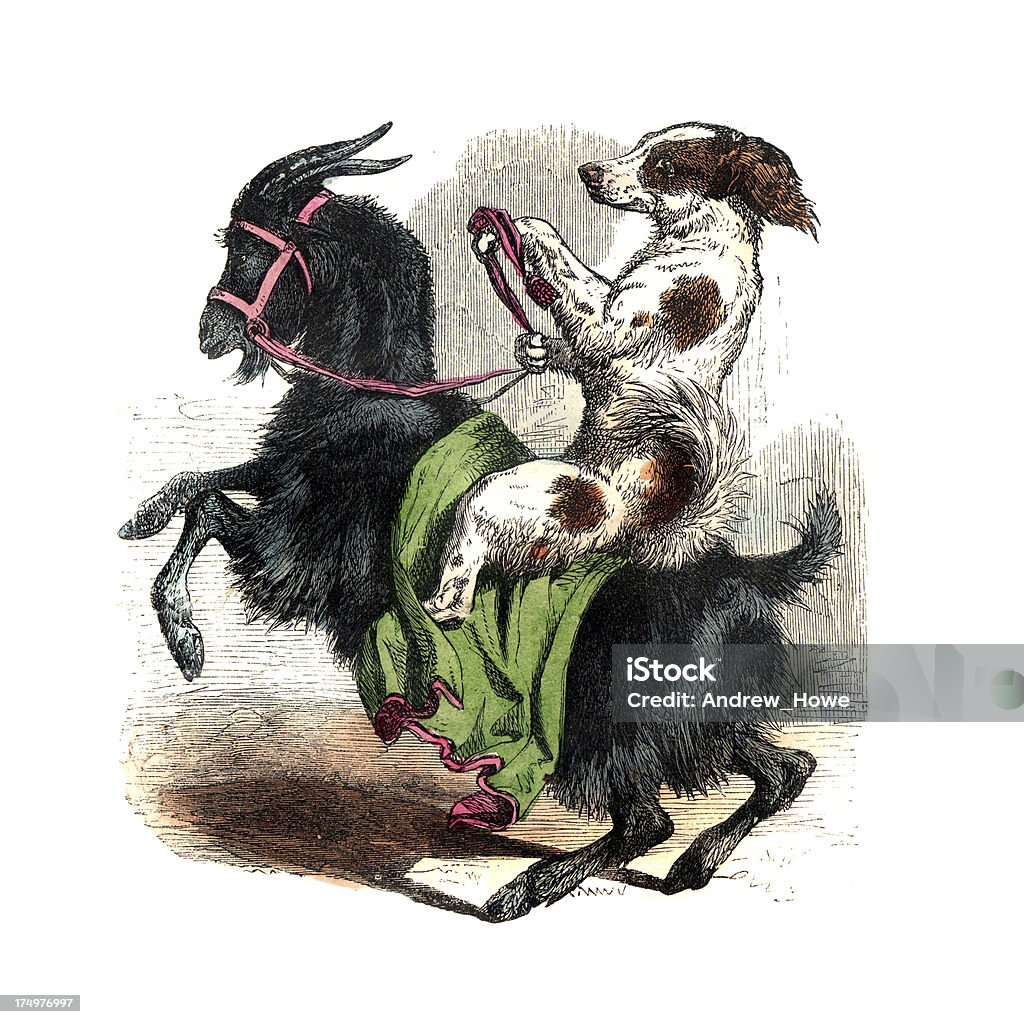 Goats Riding Dogs Dog Riding A Goat Stock Illustration - Download Image Now - 19th ...