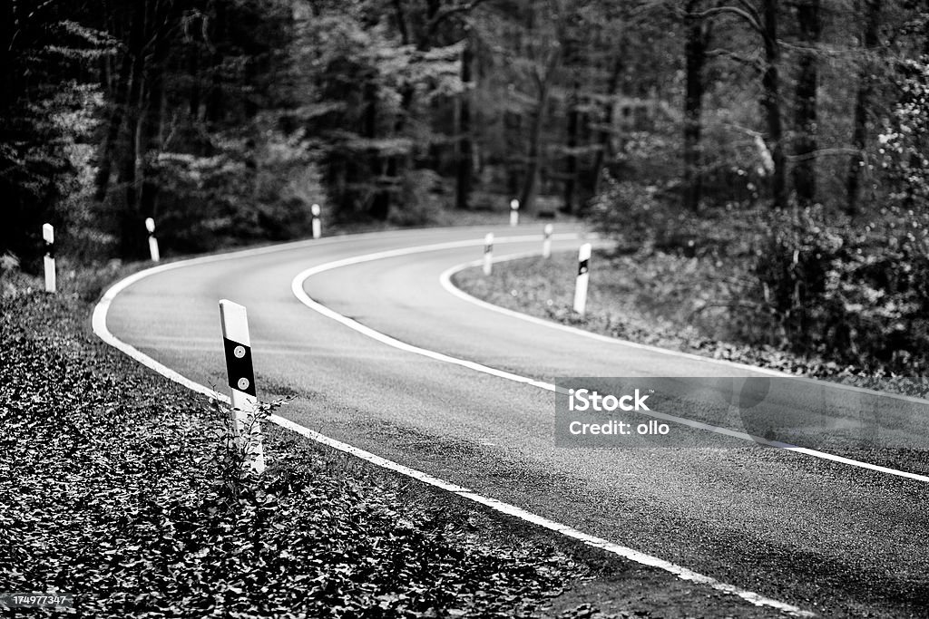 Foresta in autunno strada al crepuscolo - Foto stock royalty-free di Albero