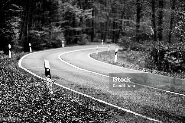 Foresta In Autunno Strada Al Crepuscolo - Fotografie stock e altre immagini di Albero - Albero, Ambientazione esterna, Asfalto