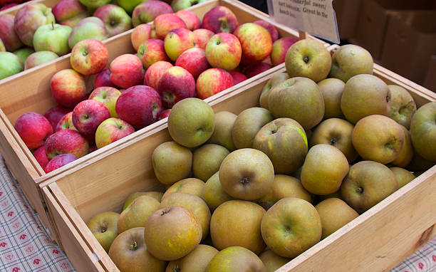 istock Farmer's market apples 174977369