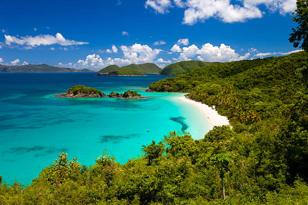 istock Trunk Bay beach in St. John, US Virgin Islands 174977673
