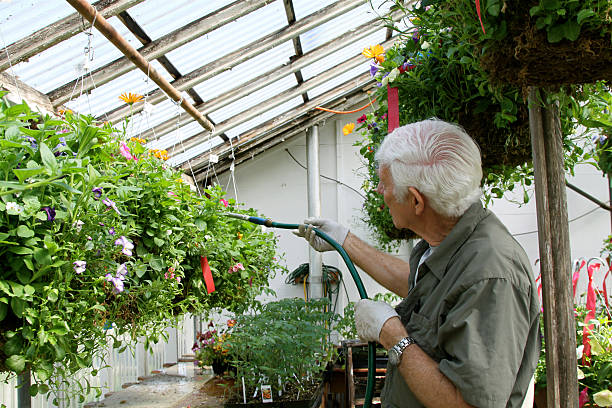 istock Nurseryman Watering His Plants 174978045