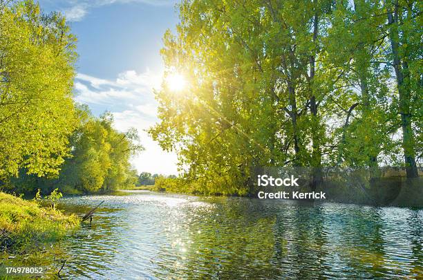 River Im Sonnenlicht Stockfoto und mehr Bilder von Thüringen - Thüringen, Wald, Wasser