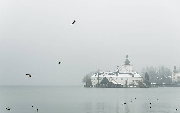 Lake Traun Gmunden Seeschloss Place Flying European seagulls at Lake Traun on a cold and foggy Winter morning. Photo made at the pier of Gmunden, Upper Austria, in the famous world heritage site area of Salzkammergut. Seeschloss Ort in the background. Nikon D7000, Nikkor 16-85mm. Soft grain cause of bad weather conditions. seeschloss stock pictures, royalty-free photos & images