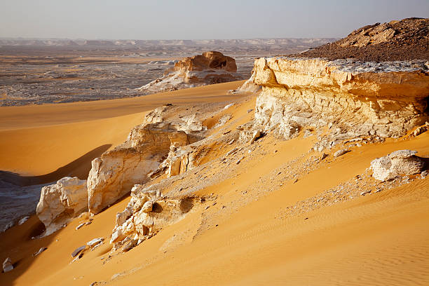 Desert landscape stock photo