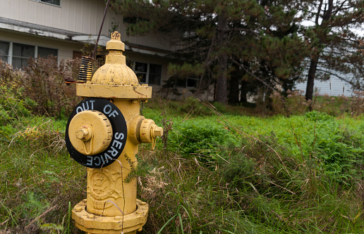 This poignant photograph spotlights an out-of-service fire hydrant, a symbol of neglect and urban decay. An 