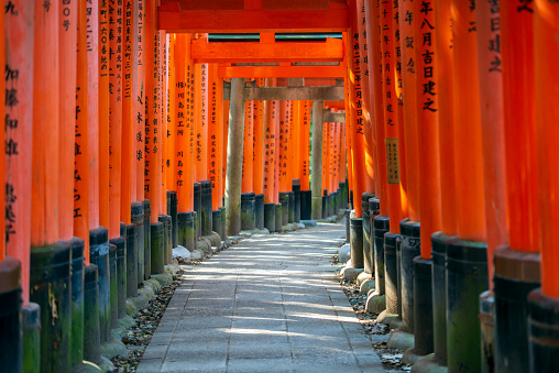 Torii gates in Fushimi Inari Shrine, Kyoto, Japan