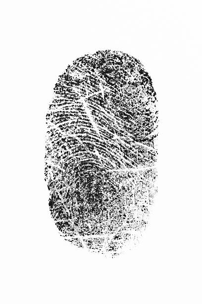 istock Isolated shot of black fingerprint on white background 174979357