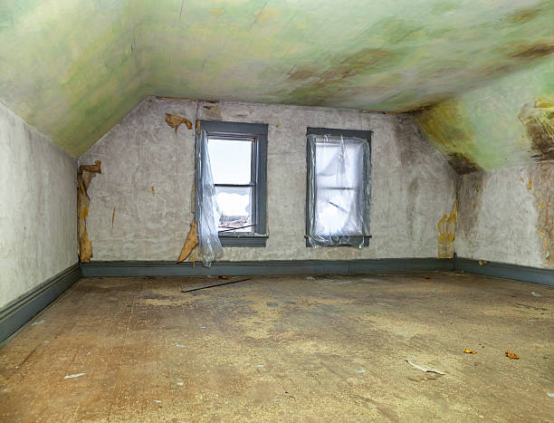 House in Decay: Room in Old Abandoned House With Stained Walls