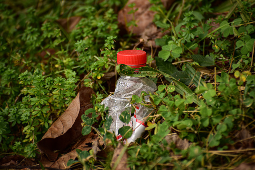 An abstract image of a trash left in the park, water bottle pet trash left on the grass