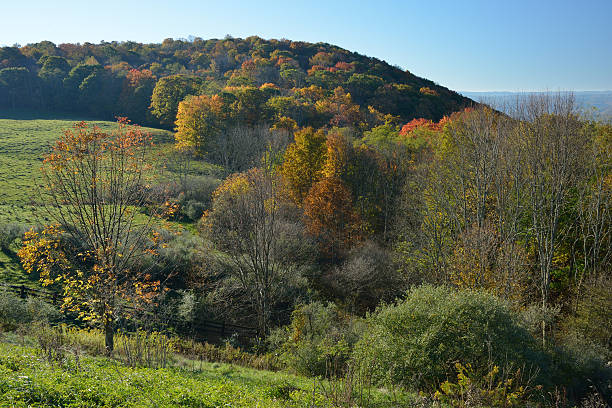 istock Autumn Scenery in West Virginia 174979981